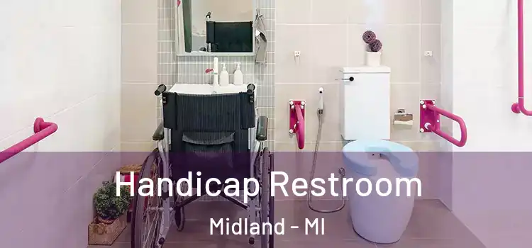  Handicap Restroom Midland - MI